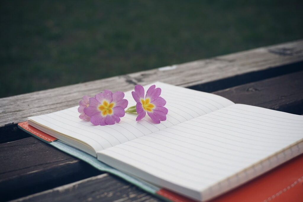 tracking seasonal patterns in a nature journal