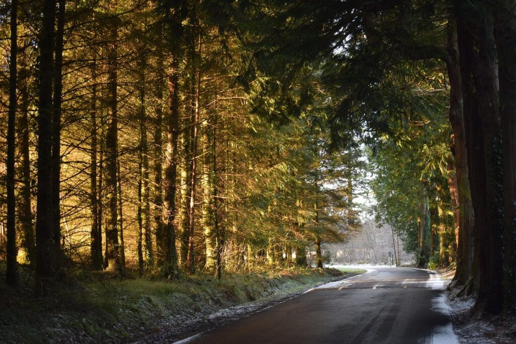 when is the winter solstice