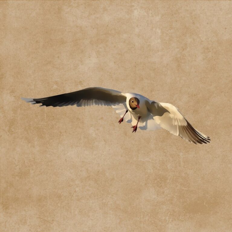 birds flying drawing