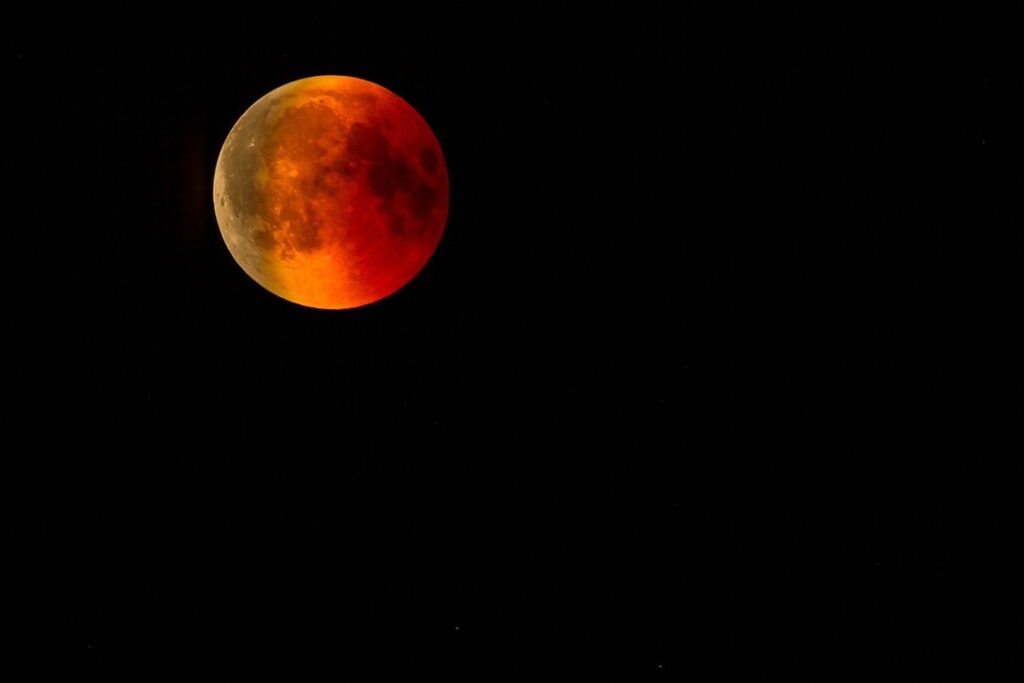 eclipse plumage meaning