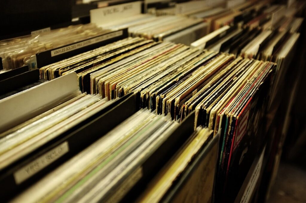 diy vinyl record storage