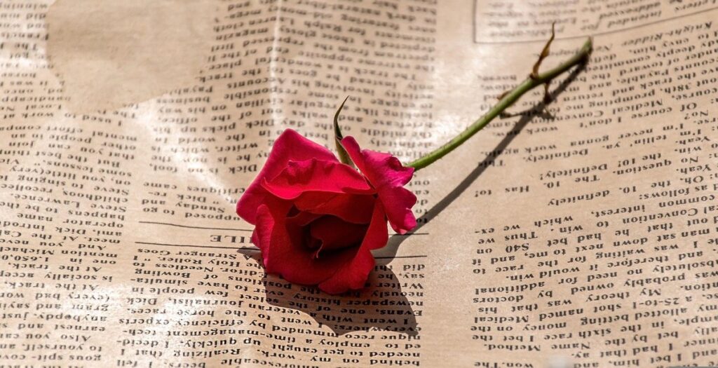 how to press flowers for a journal