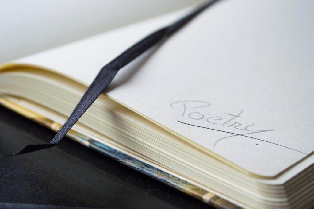 annotated sketching for observations