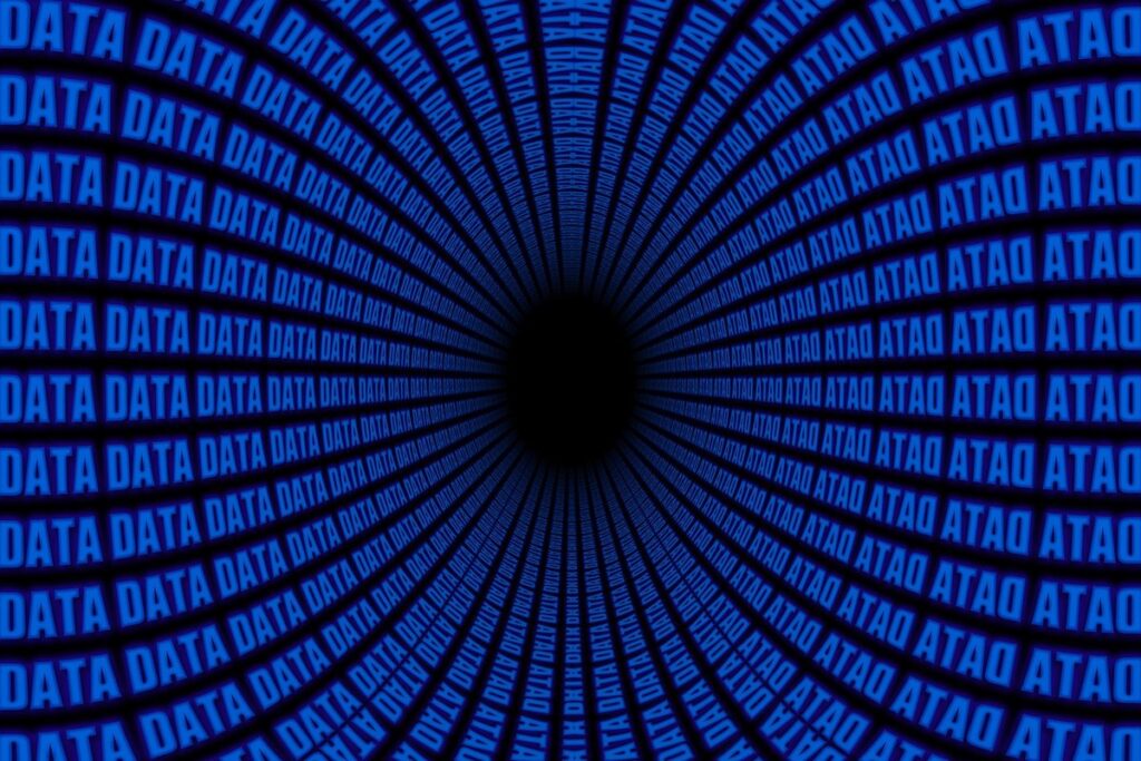 building a searchable collection database