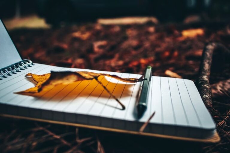 tracking seasonal changes journal